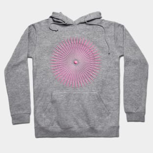 concentric pink Hoodie